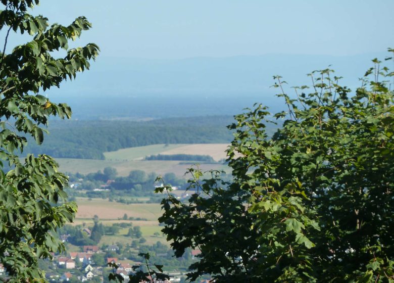 Wasenbourg Castle